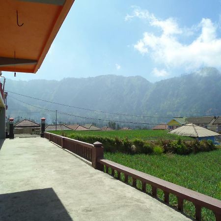 Tengger Indah Homestay ブロモ山 エクステリア 写真
