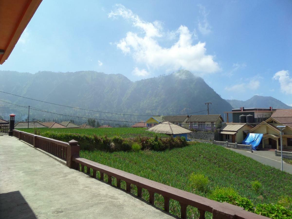 Tengger Indah Homestay ブロモ山 エクステリア 写真